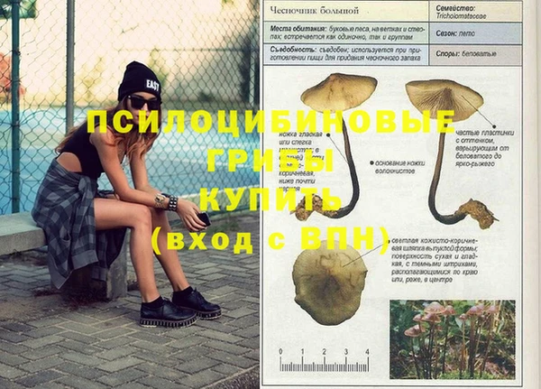 mdpv Алзамай