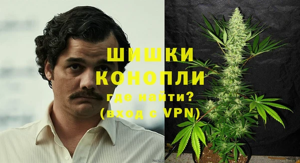 гидра Алексеевка